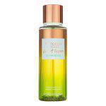 Coconut passion sunkissed